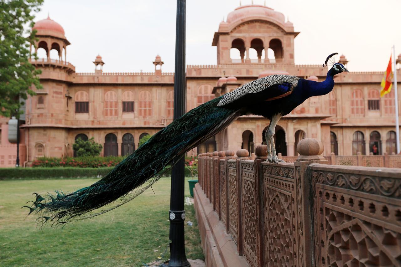 The Lallgarh Palace - A Heritage Hotel Bikaner Exterior foto